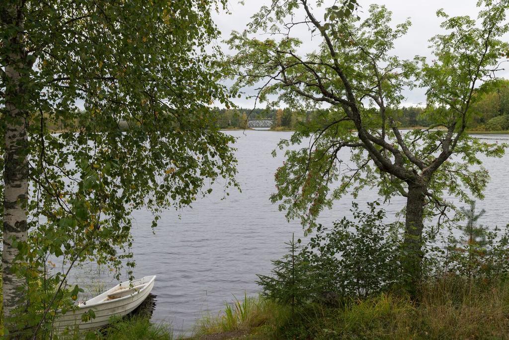 Lemettilae Countryside Accommodation Petäjävesi Dış mekan fotoğraf